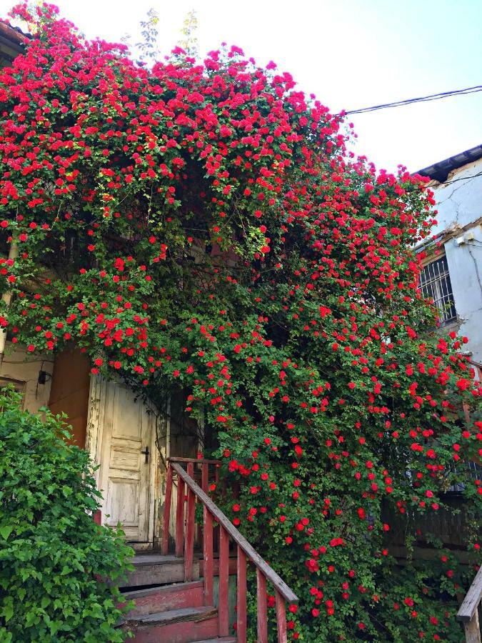 Apartment In Cozy Little Yard ティビリシ エクステリア 写真